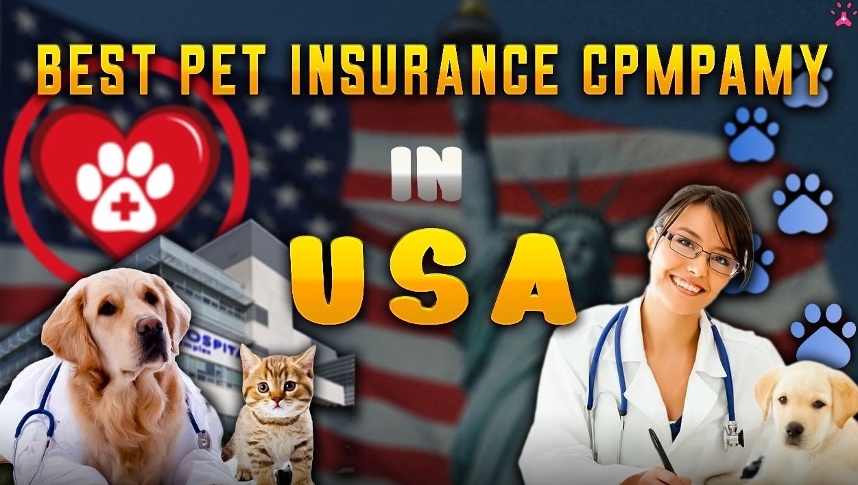 The Best Pet Insurance for Dogs in the USA 2024