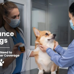 The Best Pet Insurance for Dogs in the USA 2024