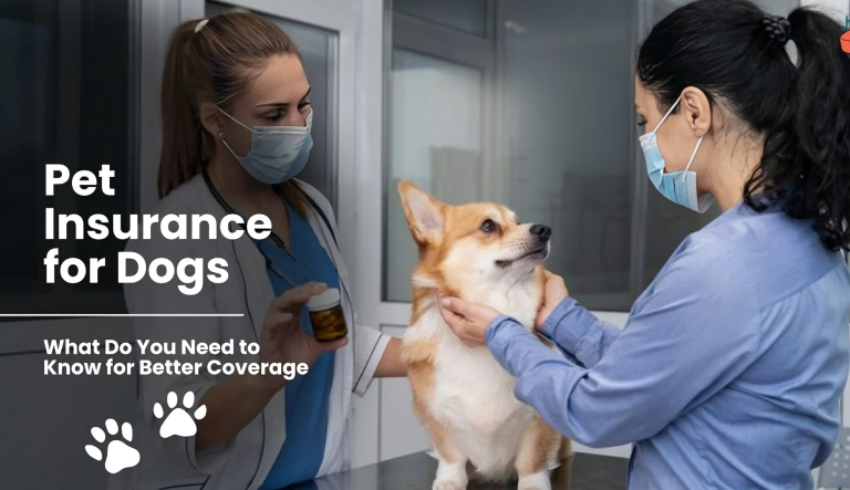 The Best Pet Insurance for Dogs in the USA 2024